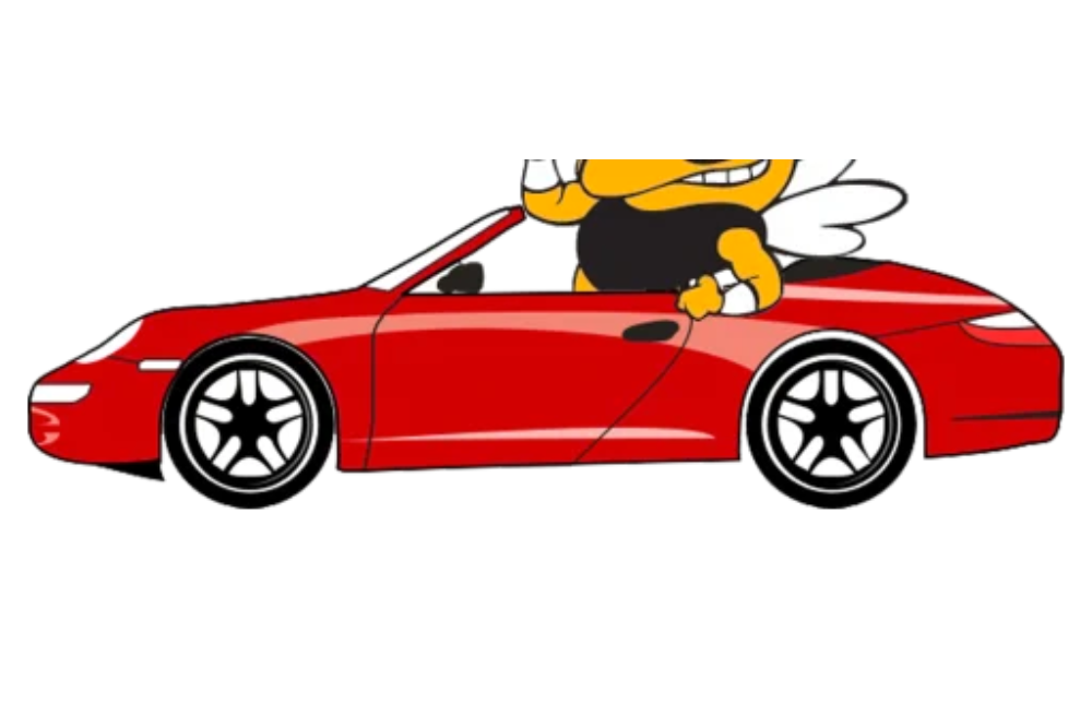Detail Auto Rom Nomer 17
