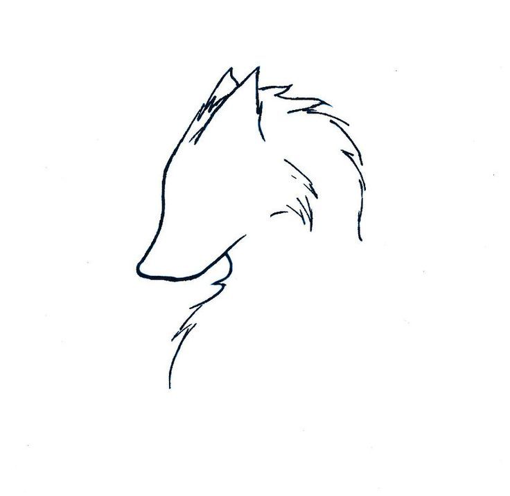 Detail Bleistift Wolf Zeichnung Nomer 14