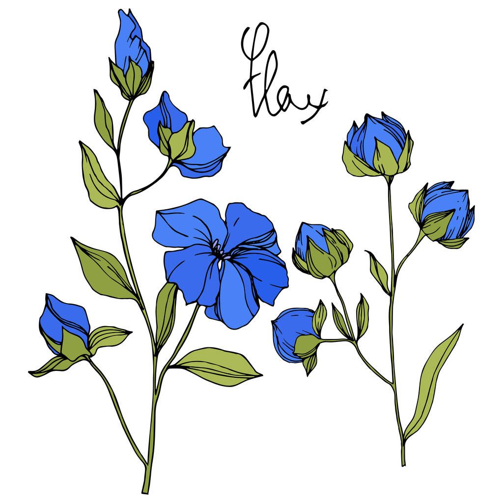Detail Blumen Blau Nomer 14