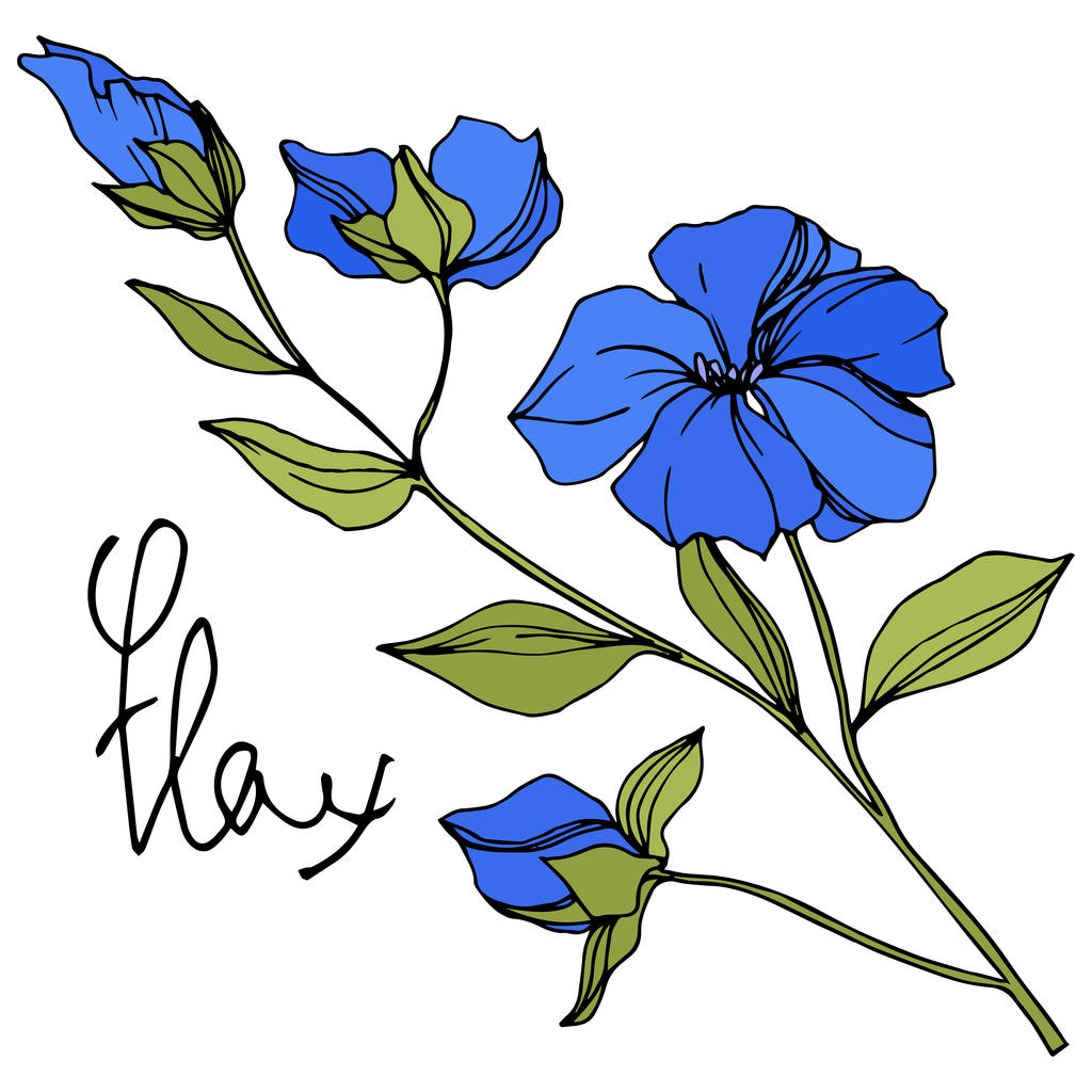 Detail Blumen Blau Nomer 23