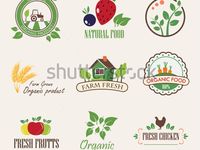 Detail Contoh Desain Logo Salad Buah Nomer 4