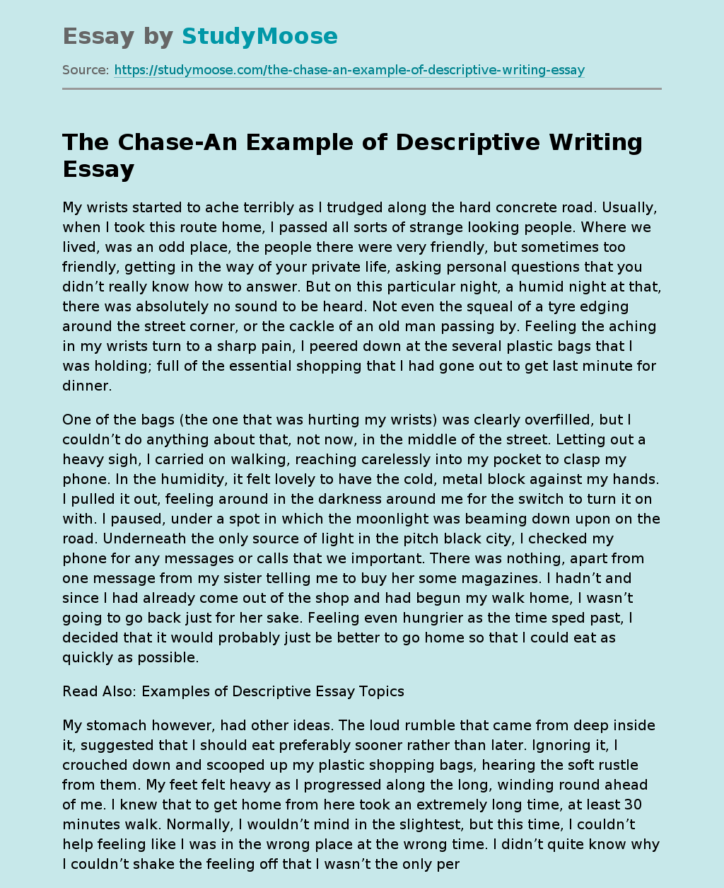 Detail Contoh Descriptive Essay Nomer 49