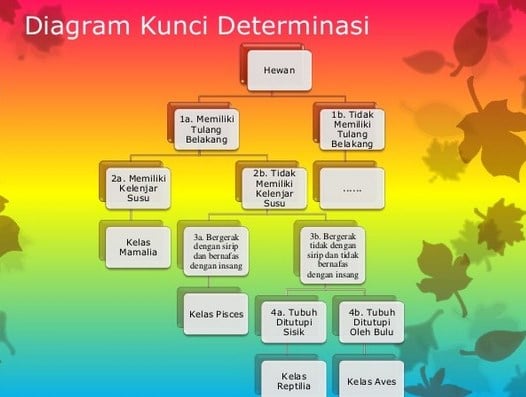 Detail Contoh Determinasi Tumbuhan Nomer 19