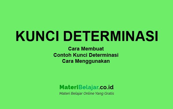 Detail Contoh Determinasi Tumbuhan Nomer 20