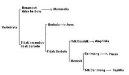 Detail Contoh Determinasi Tumbuhan Nomer 38