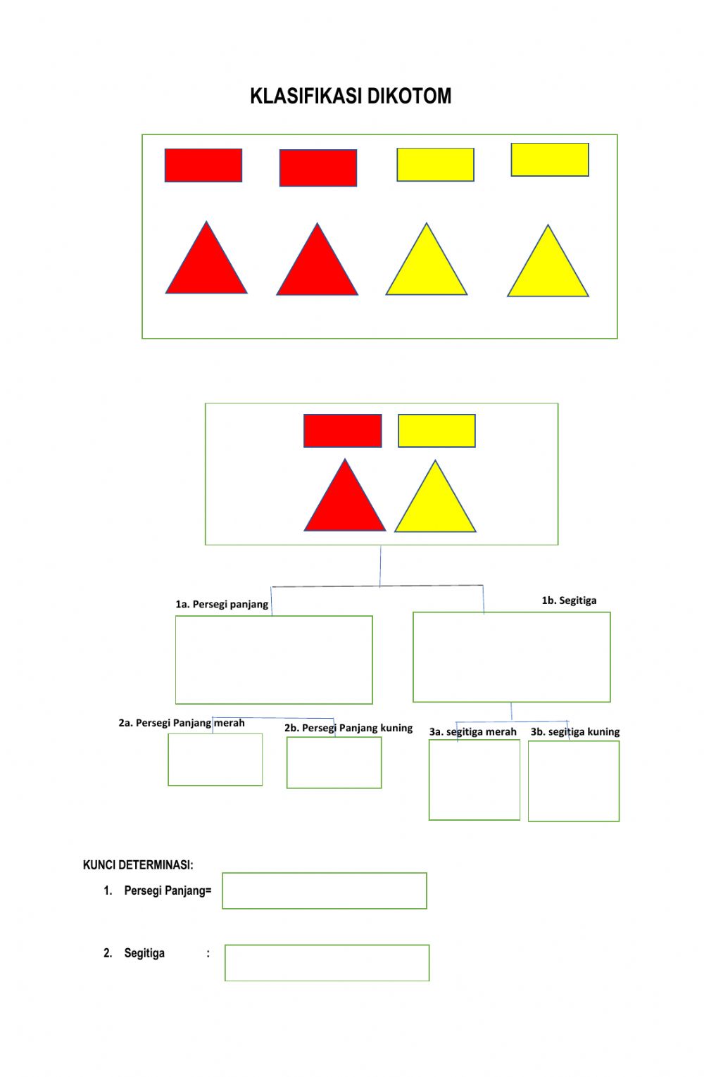 Detail Contoh Determinasi Tumbuhan Nomer 41