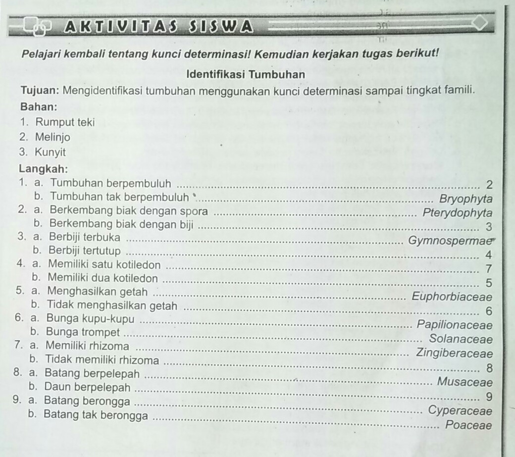 Detail Contoh Determinasi Tumbuhan Nomer 43