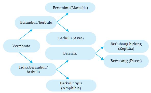 Detail Contoh Determinasi Tumbuhan Nomer 49