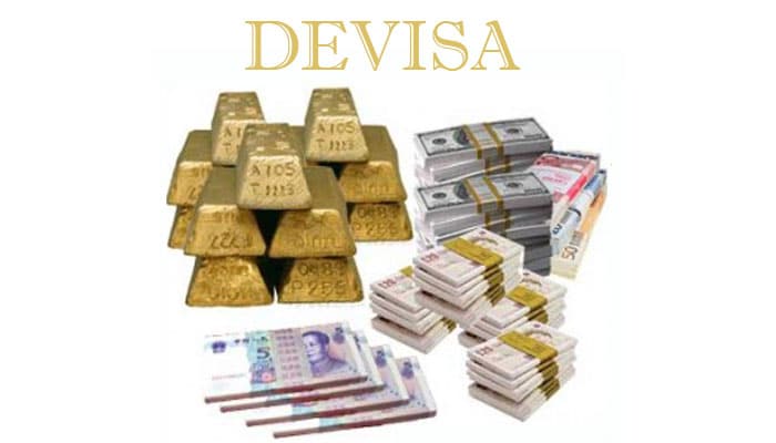 Detail Contoh Devisa Umum Nomer 5