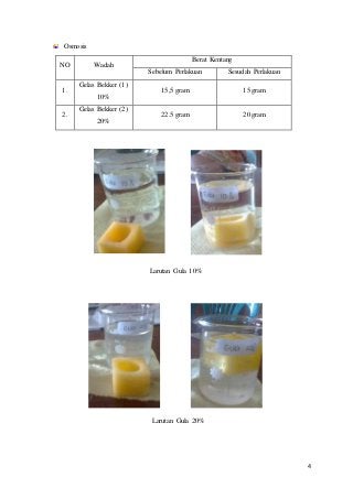 Detail Contoh Difusi Dan Osmosis Pada Tumbuhan Nomer 52