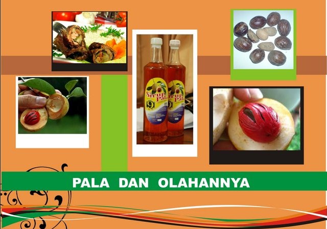 Contoh Diversifikasi Produk Makanan - KibrisPDR