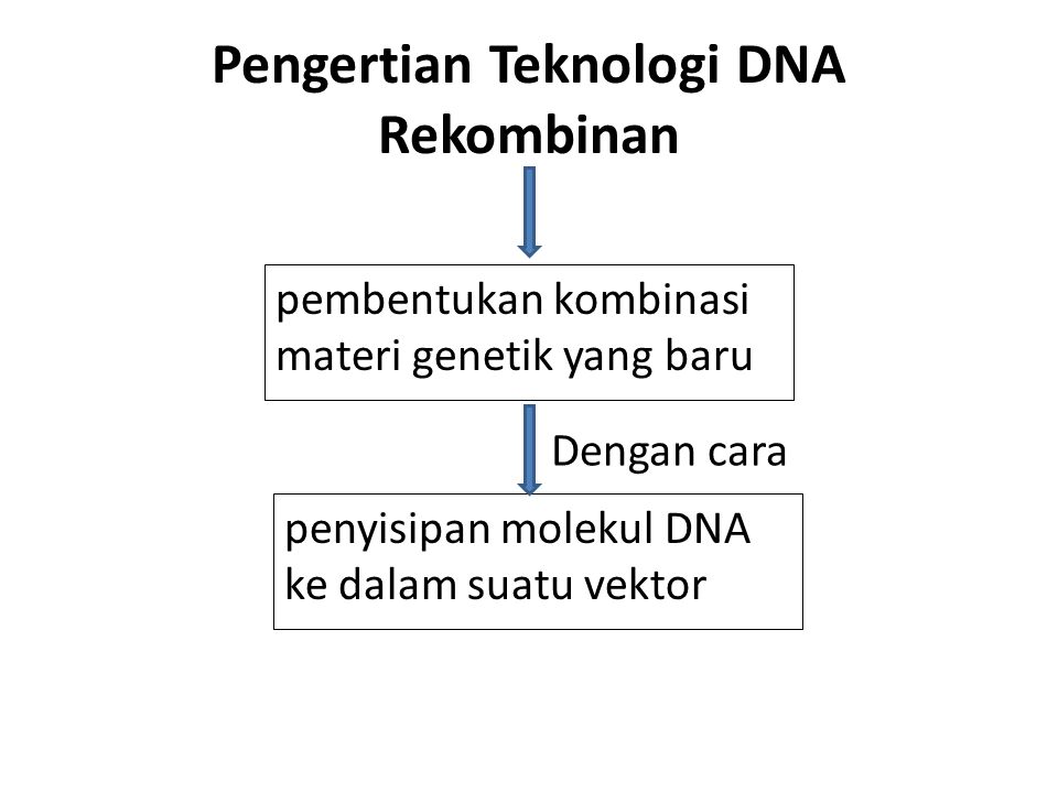 Detail Contoh Dna Rekombinan Nomer 23