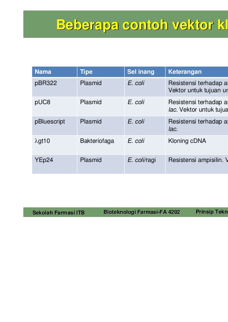 Detail Contoh Dna Rekombinan Nomer 30