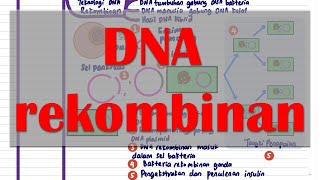 Detail Contoh Dna Rekombinan Nomer 44