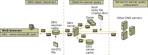 Detail Contoh Dns Server Nomer 11