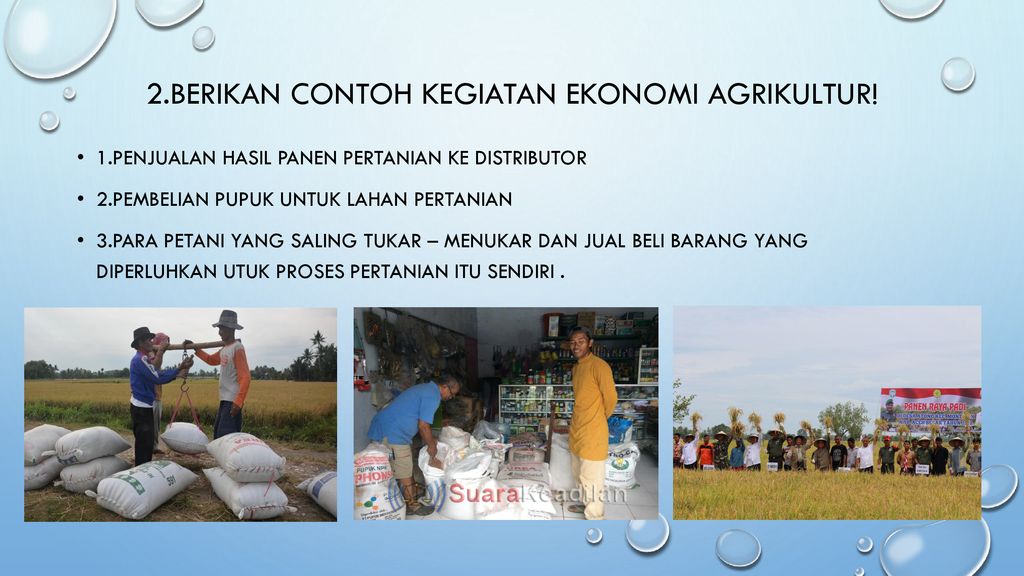 Detail Contoh Ekonomi Agrikultur Nomer 13