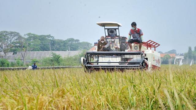 Detail Contoh Ekonomi Agrikultur Nomer 20