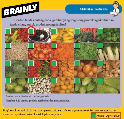 Detail Contoh Ekonomi Agrikultur Nomer 46