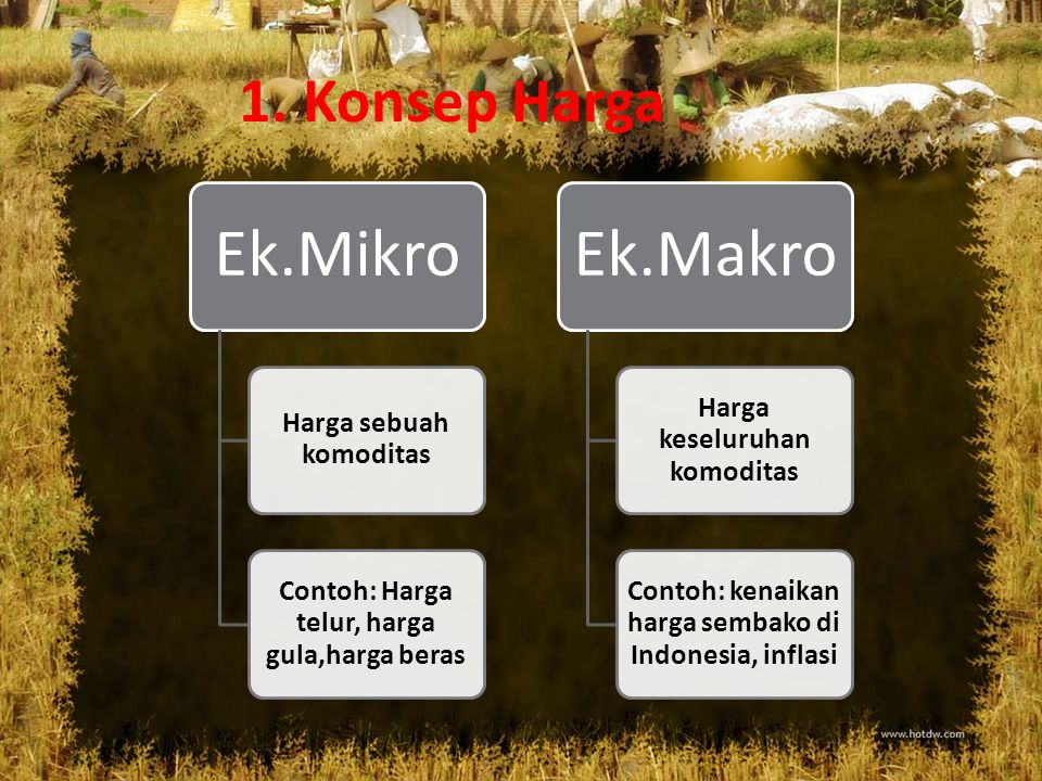 Detail Contoh Ekonomi Mikro Nomer 17