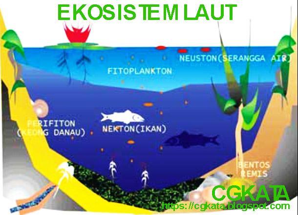 Detail Contoh Ekosistem Air Laut Nomer 9
