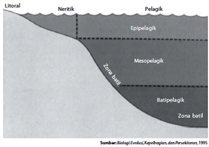 Detail Contoh Ekosistem Air Laut Nomer 28