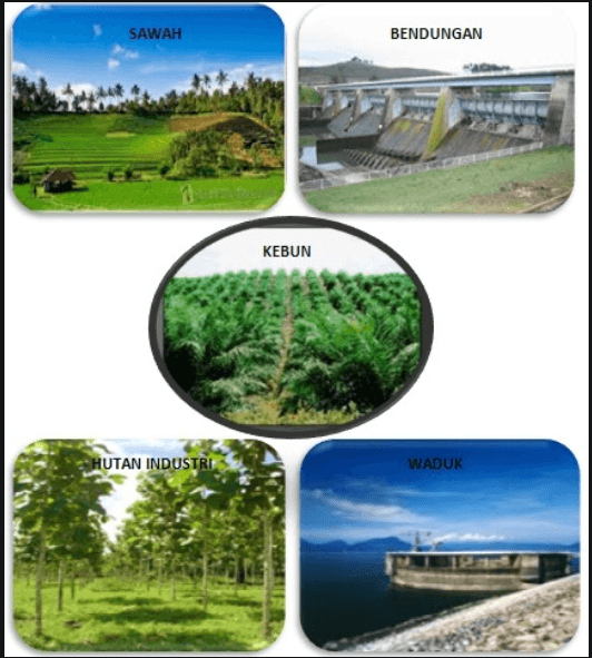 Detail Contoh Ekosistem Alam Nomer 19