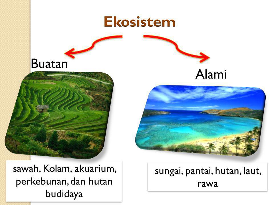 Detail Contoh Ekosistem Alam Nomer 27