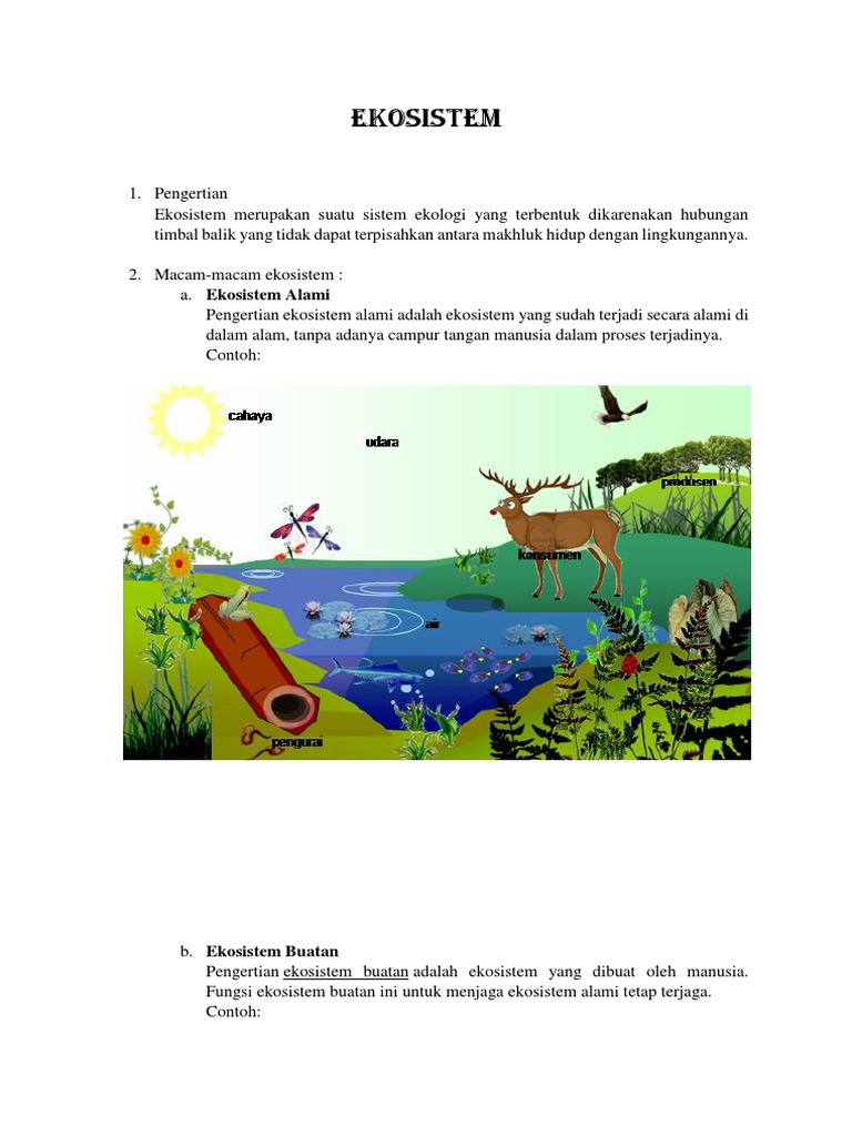 Detail Contoh Ekosistem Alam Nomer 41
