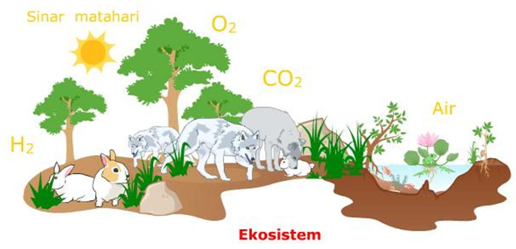 Detail Contoh Ekosistem Darat Nomer 12