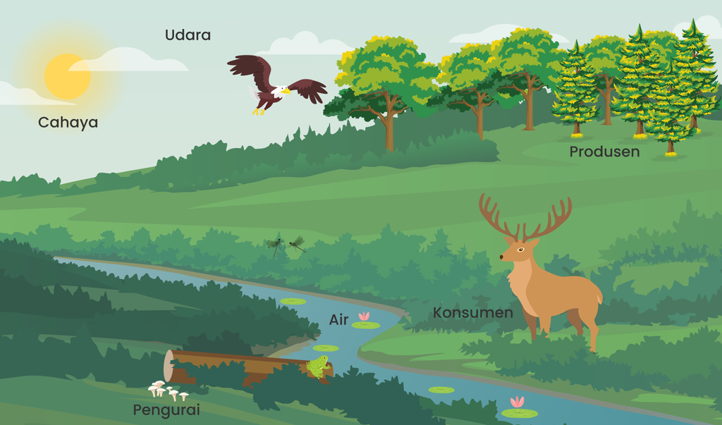 Detail Contoh Ekosistem Darat Nomer 17