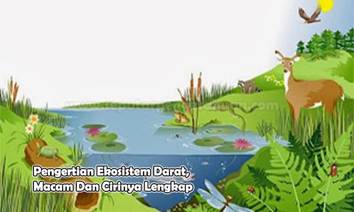 Detail Contoh Ekosistem Darat Nomer 6