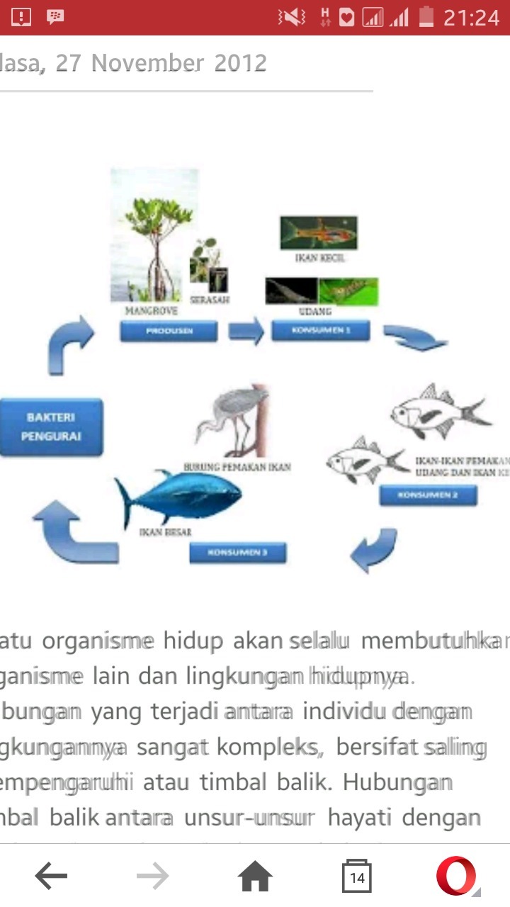 Detail Contoh Ekosistem Kolam Nomer 20