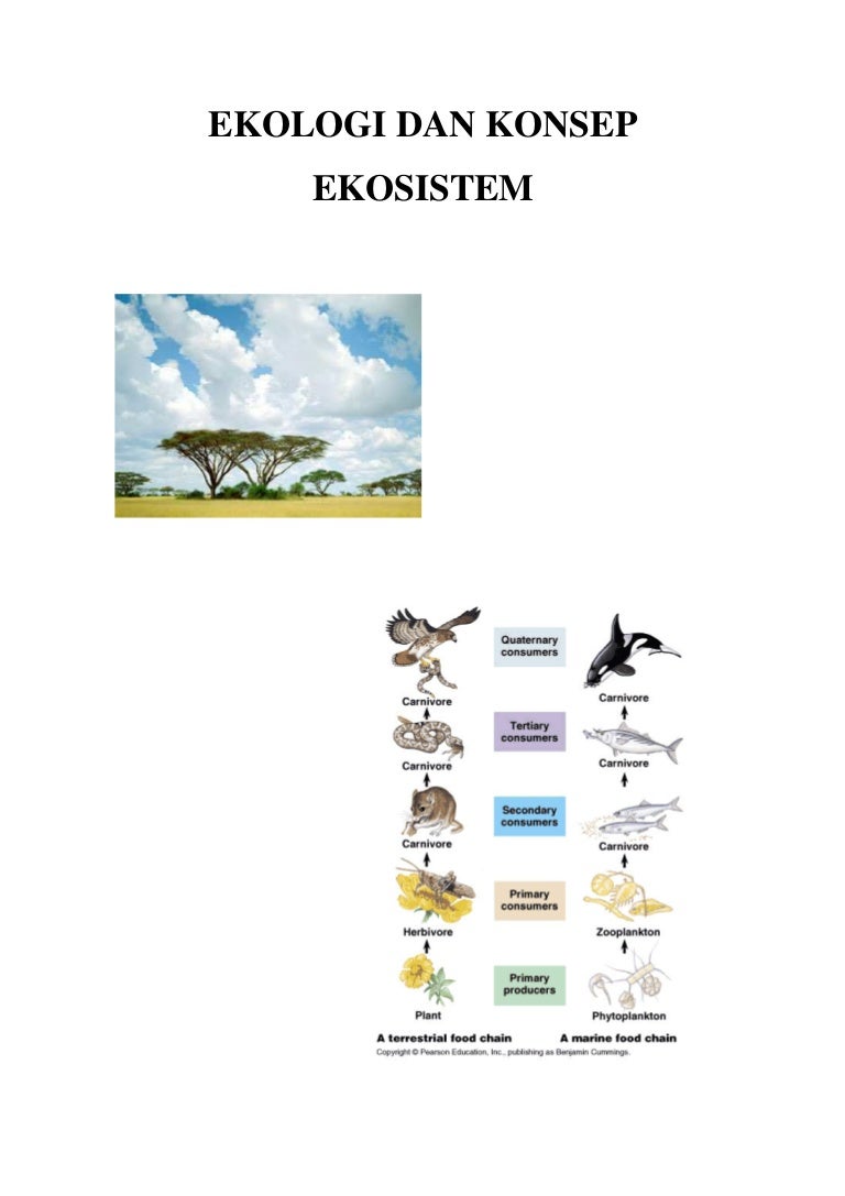 Detail Contoh Ekosistem Kolam Nomer 44