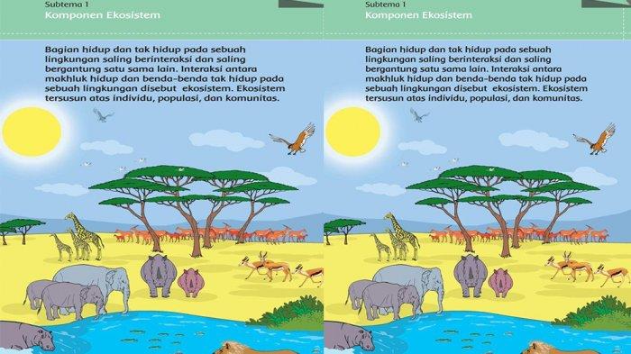 Detail Contoh Ekosistem Padang Rumput Nomer 21