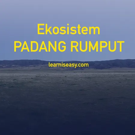 Detail Contoh Ekosistem Padang Rumput Nomer 44