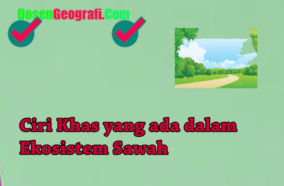 Detail Contoh Ekosistem Sawah Nomer 30