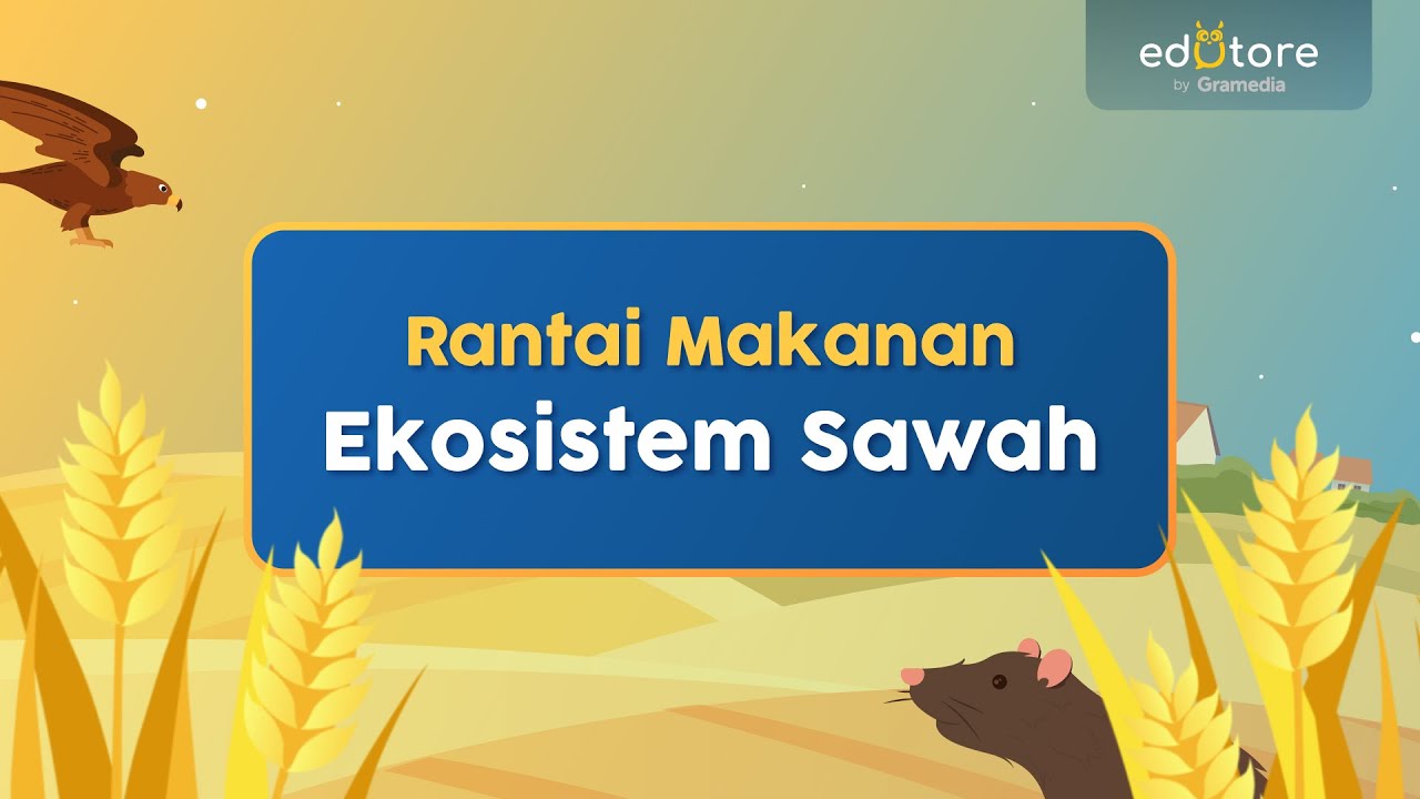 Detail Contoh Ekosistem Sawah Nomer 49