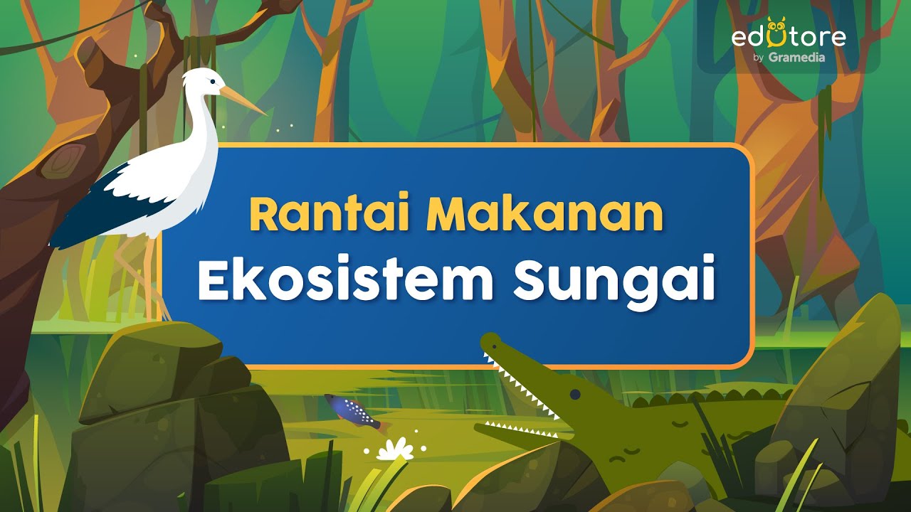 Detail Contoh Ekosistem Sungai Nomer 14