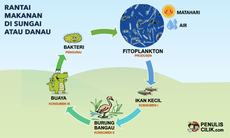 Detail Contoh Ekosistem Sungai Nomer 22