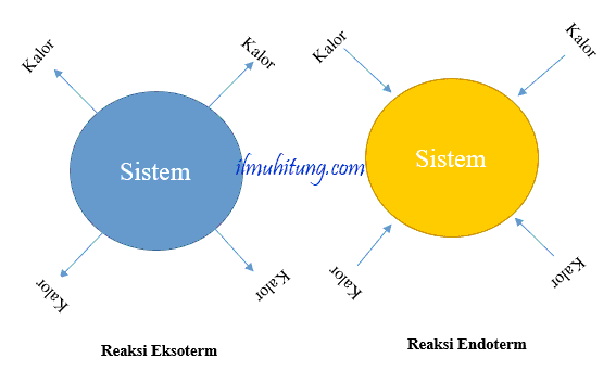 Detail Contoh Eksoterm Dan Endoterm Nomer 14