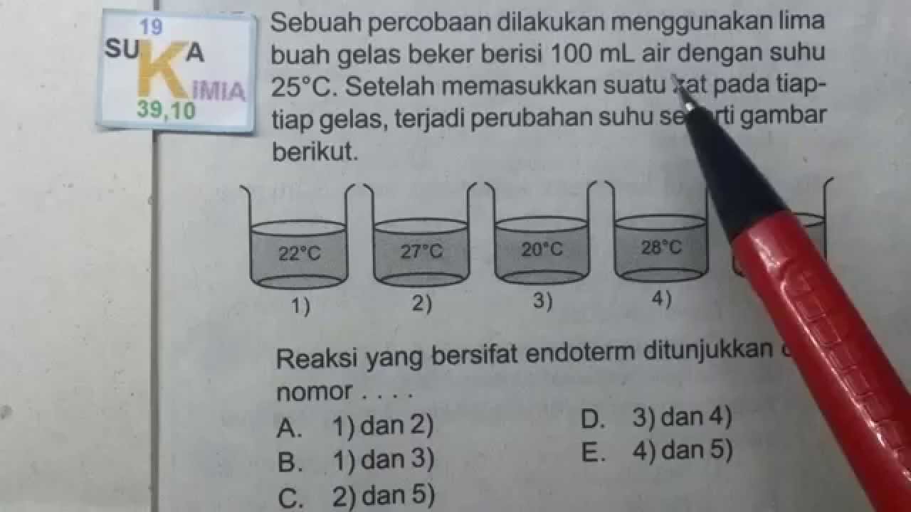 Detail Contoh Eksoterm Dan Endoterm Nomer 20