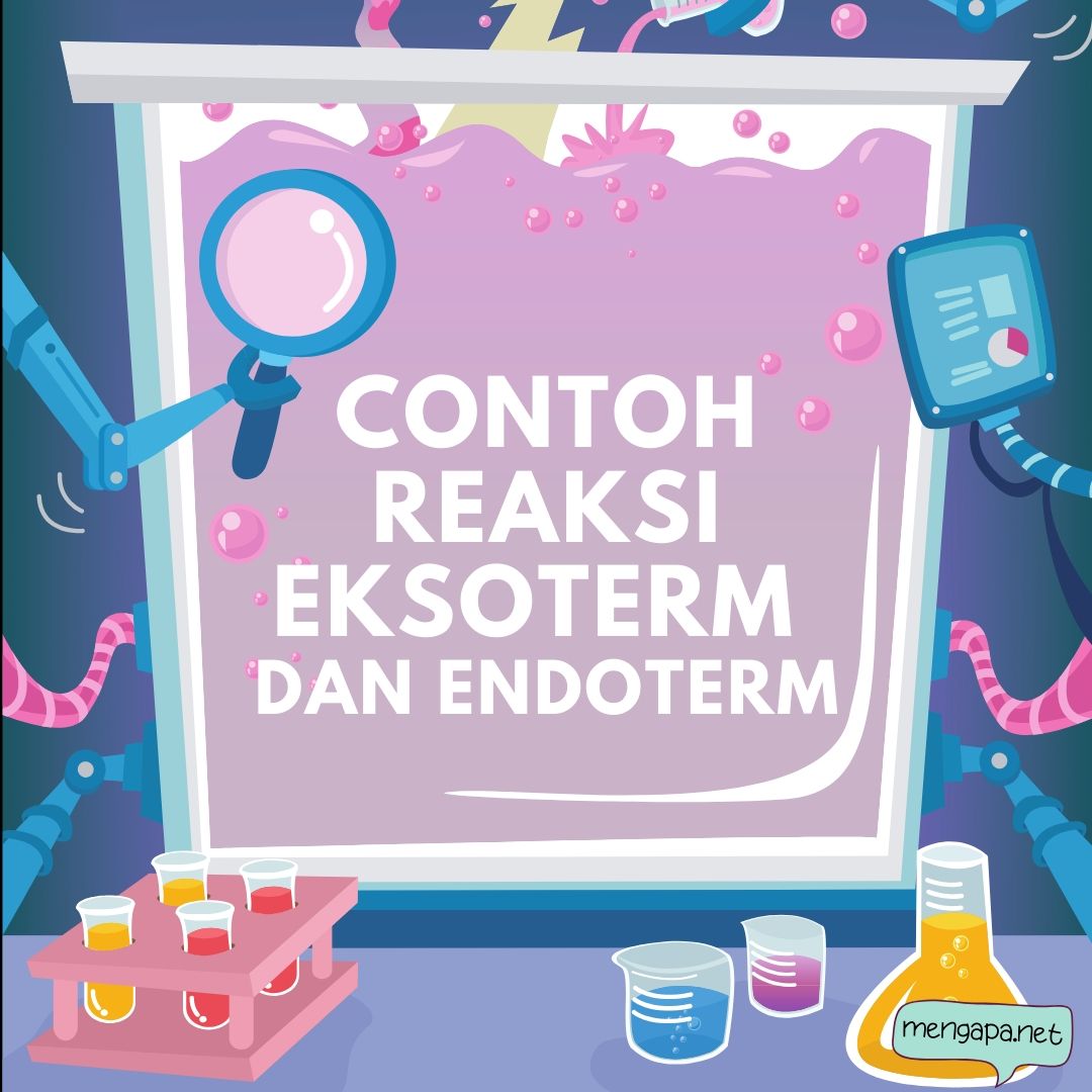 Detail Contoh Eksoterm Dan Endoterm Nomer 4