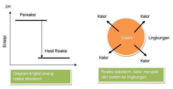 Detail Contoh Eksoterm Dan Endoterm Nomer 31