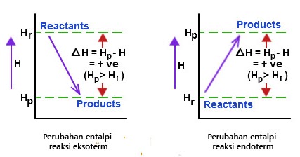 Detail Contoh Eksoterm Dan Endoterm Nomer 50