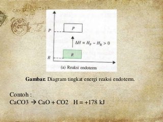 Detail Contoh Eksoterm Dan Endoterm Nomer 54