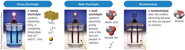 Detail Contoh Elektrolit Kuat Nomer 33