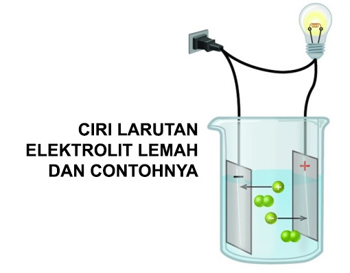 Detail Contoh Elektrolit Kuat Nomer 34