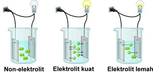 Detail Contoh Elektrolit Kuat Nomer 44