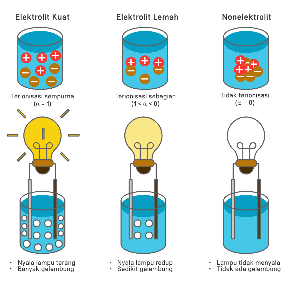 Detail Contoh Elektrolit Kuat Nomer 8