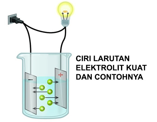 Detail Contoh Elektrolit Kuat Nomer 9